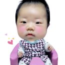 몽키청과
