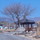 조한승농장 이미지