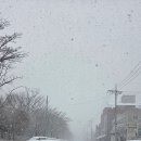 한밭대로1006번길 이미지