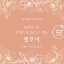 허브클리닉
