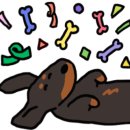 견우동물병원 이미지