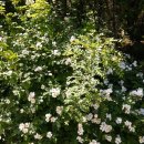 알찬정보 이미지