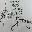 월드컵신발 이미지