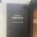삼호카클리닉 네이버블로그