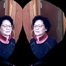 강서초교 이미지