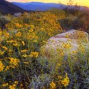 카존(주) 이미지