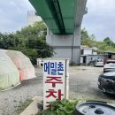 가평메밀촌 | 가평에서 만난 숨은 막국수 맛집, 명태가 푸짐했던 가평 메밀촌 후기
