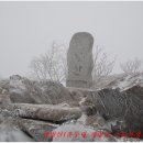 계방산(桂芳山)＜겨울 산 명성을 간직한 설경(雪景)!!!＞ 이미지