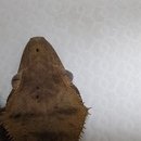 케나인동물병원 이미지