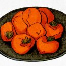 우아지 Daum카페