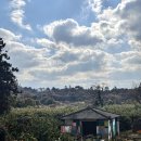 봄밤에 떠나는 낭독여행 | [제주여행] 저지리 산책, <책방 소리소문>과 찻집 <산세라>