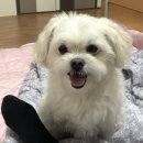 2021년 안녕 !