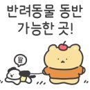 곰돌이스낵