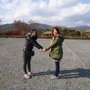 낙안청과 이미지