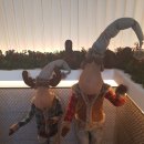 더갤러리호텔 이미지