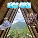 꽃담 화덕생선구이 | [해남] 수국축제 시즌 당일 치기 여행 코스 + 포레스트 수목원 사진 스팟 + 주변 맛집 정리✨