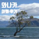 팜피크 | 2026년 1월 뉴질랜드 여행기 <와나카 2박 3일 추천 여행 코스 : 와나카 호수, 와나카 라벤더 팜 방문 후기>