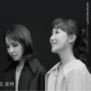 보티 이미지