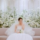 뮤즈 | 가성비 서브스냅 추천 벨벳뮤즈 웨스턴베니비스 후기