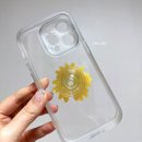 해바라기가맥 이미지