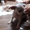 (주)코코 이미지