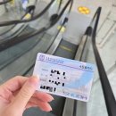 궁치과병원 | 서울대 치과병원 사랑니 2개 위 아래 수면마취 발치 - 예약부터 발치, 비행기타기까지