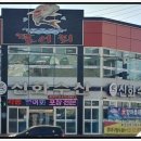 신화수산활어회타운 네이버블로그