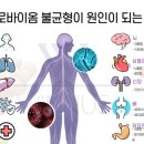 메타빌