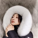 수지24 이미지