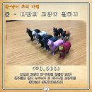 강냥이 Daum카페