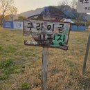 운산리 구라이골 캠핑장 이미지