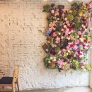 무무플라워 이미지