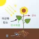 실내식물전문가2급 민간자격증 수업후기: 화성시민대학 3분기