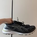 275 | 아식스 젤카야노 29 러닝화 · 275사이즈 착용 후기