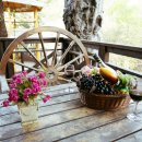 미루 펜션 이미지