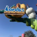 토리아이독채패밀리룸 | 제주 가족여행 숙소 추천｜신화월드 패밀리룸/캠퍼트리 독채 + 새별프렌즈