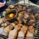 이니스프리산본 | 제주도 3박 4일 여행 코스 추천 | 2일차 노라바 해물라면, 성이시돌 목장, 오설록 티 뮤지엄, 서귀포시...