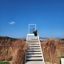 리얼다이어트캠프 | 리얼다이어트캠프 내돈내산 후기 퇴소 끝