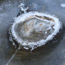 굴구지정원 이미지