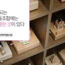 온라인판매자 협동조합 네이버블로그
