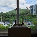 강원장의사 | 강원도 영월 뚜벅이 여행 물품보관함 트래블라운지 전시