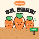 [당근마켓 광고] 세팅부터 효율까지 진행!