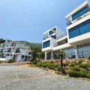 아트민박펜션 | 거제도 오션뷰 숙소 학동몽돌해변이 내려다 보이는 팜풀빌라펜션