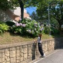 소소의 연말결산 : 결혼, 발레, 여행, 인플루언서, 부수익 자기관리