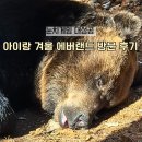 월드밸리 | 아이랑 겨울 에버랜드 방문 후기 사파리월드 로스트밸리 눈치게임 성공