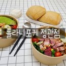 폴라니포케 정관점 이미지