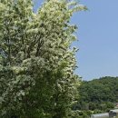 둘레길 펜션 이미지