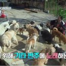 엔젤모텔 이미지