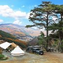 산너미목장야영장 이미지