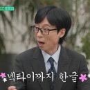 숲속의호수 이미지